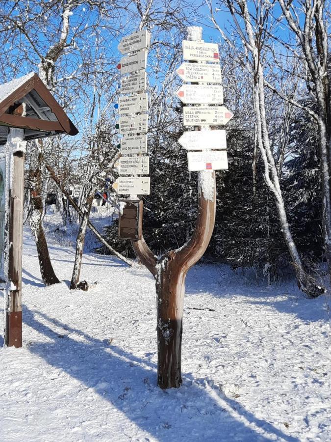 Apartman S Vyhlidkou Horní Maršov Εξωτερικό φωτογραφία